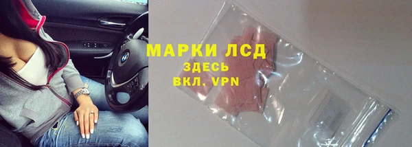 индика Магас