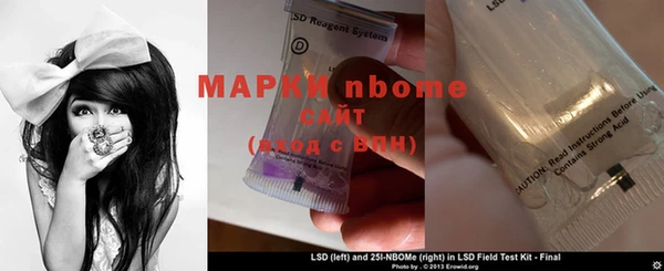 индика Магас