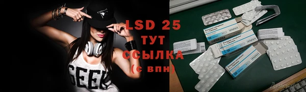 индика Магас