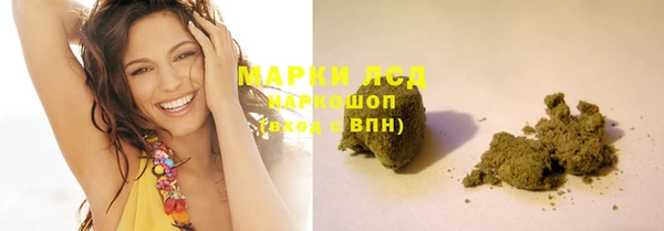 индика Магас