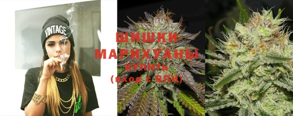 индика Магас