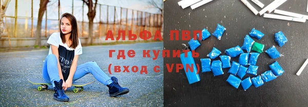индика Магас