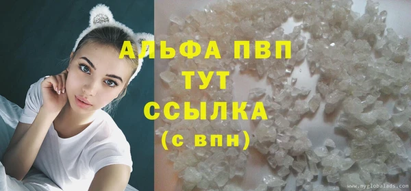 крисы Майский
